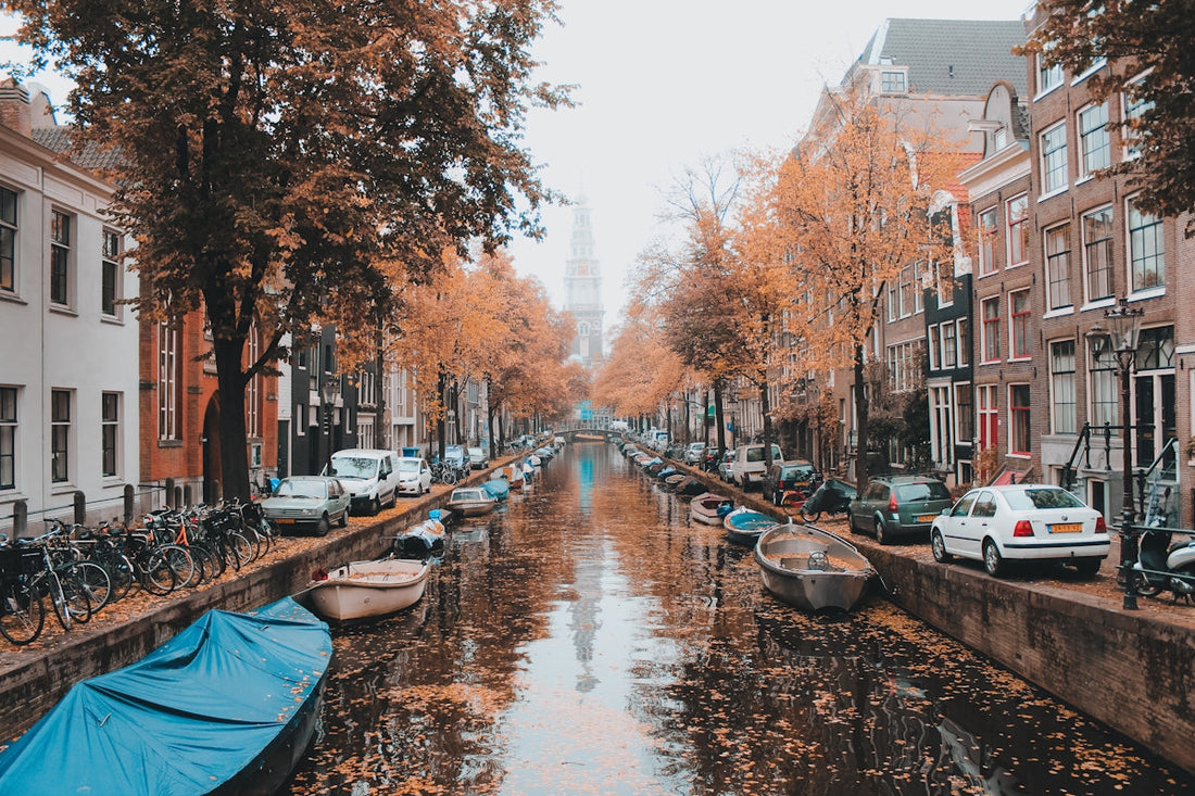 boats on river between trees during daytime