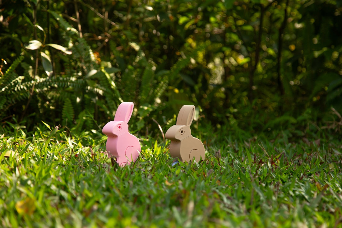 Two wooden rabbits sit in the grass.